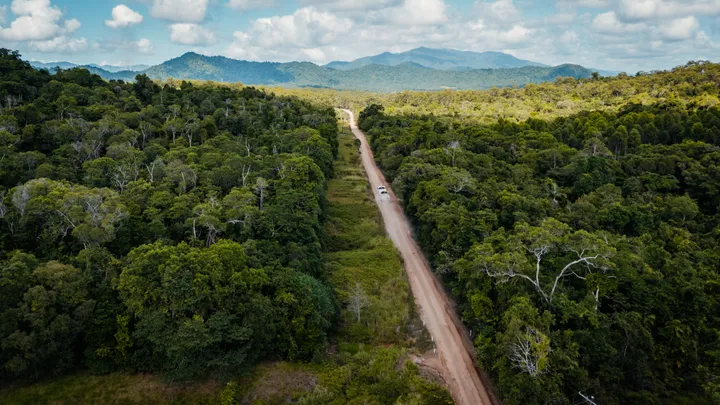 An aerial view of a dirt road cutting through dense rainforest in the Cassowary Coast region, for road recovery. 