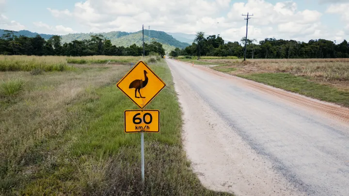 Rural road with a 60 km/h sign, highlighting civil construction and road safety