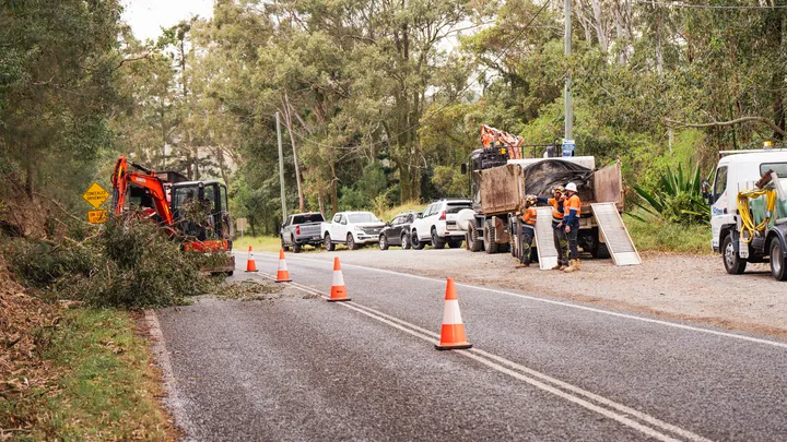 Roadside maintenance underway with workers managing tree removal and debris, featuring a red excavator and utility vehicles in a forested area marked with safety cones.